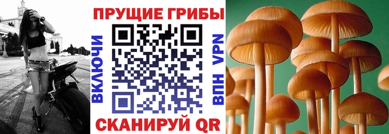 Псилоцибиновые грибы MAGIC MUSHROOMS Ковров